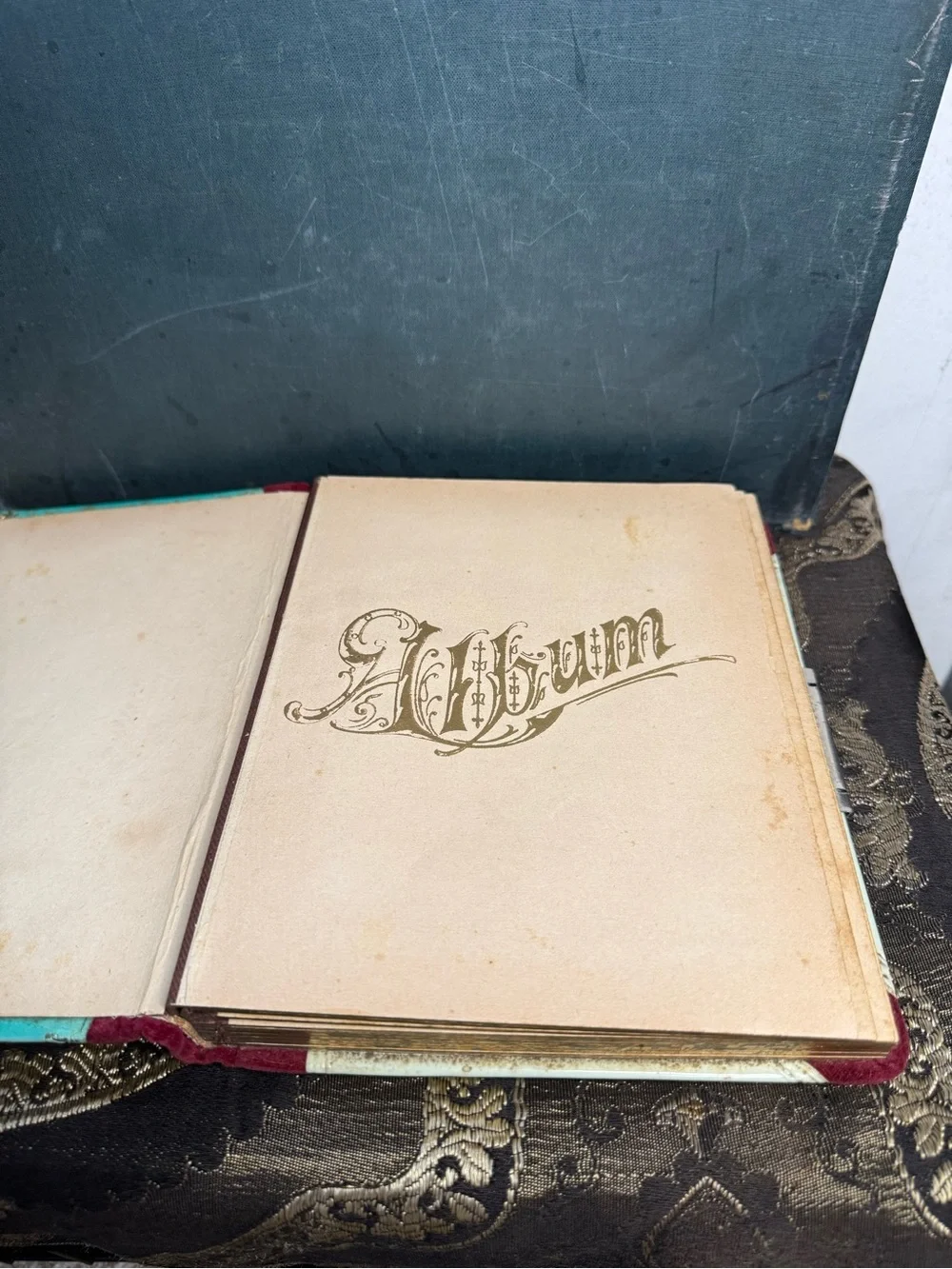 Antique Victorian Celluloid Floral W/ Red Velvet Photo Album